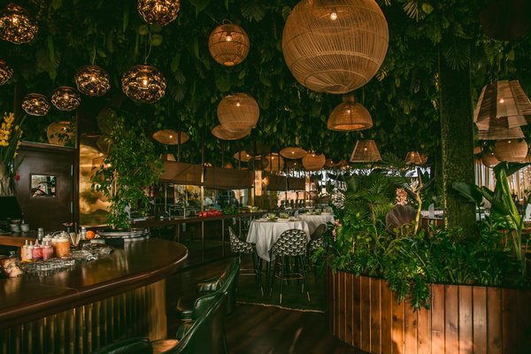 Pairage de vins avec des repas exotiques